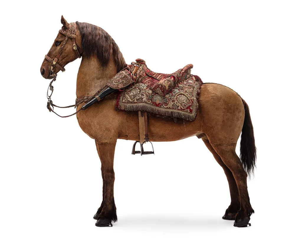 Häst i profil med sadel och betsel.