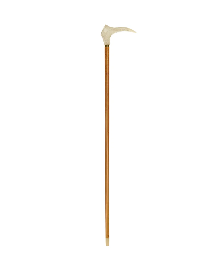 Gustav V:s käpp